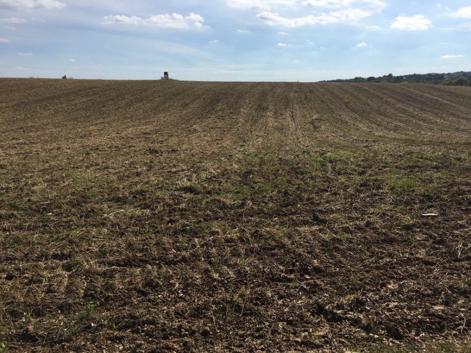 Działka rolna Maszków. Zdjęcie 10