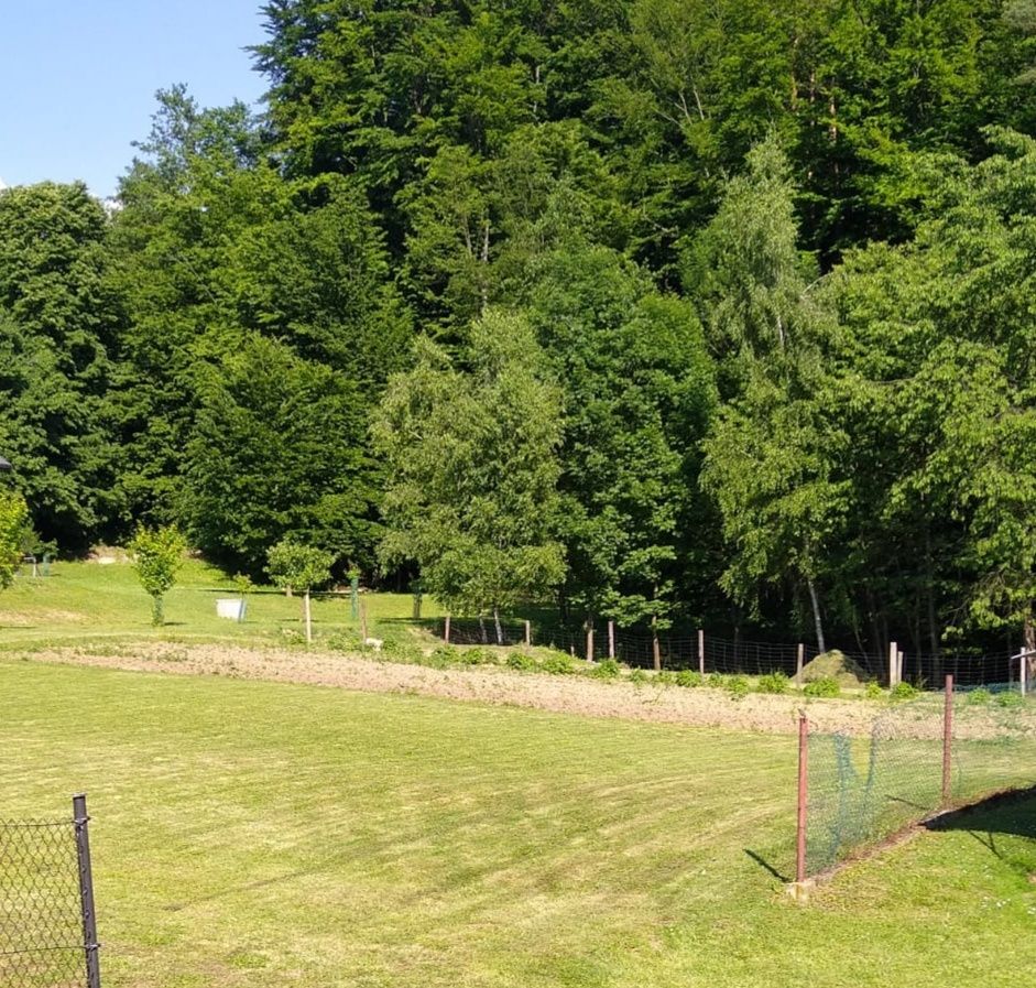 Działka budowlana Humniska Wygon. Zdjęcie 4