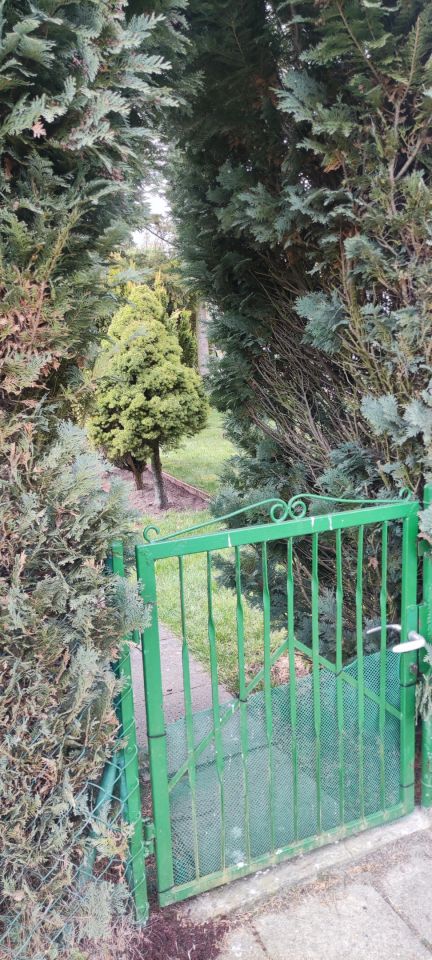 Działka rod Pabianice Piaski, ul. Jana Pawła II. Zdjęcie 2