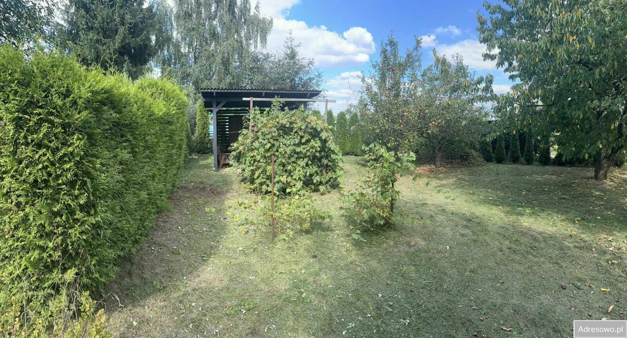 Działka rod Kraków Nowa Huta, ul. Mistrzejowicka. Zdjęcie 4