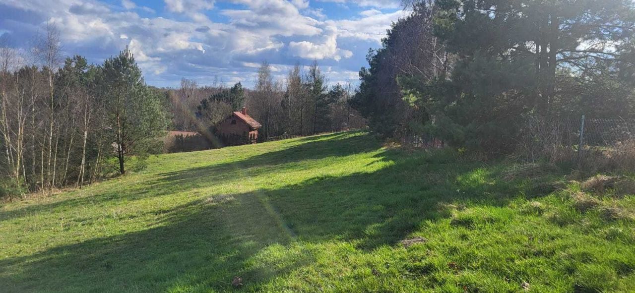 Działka rekreacyjna Wierzchucinek. Zdjęcie 5