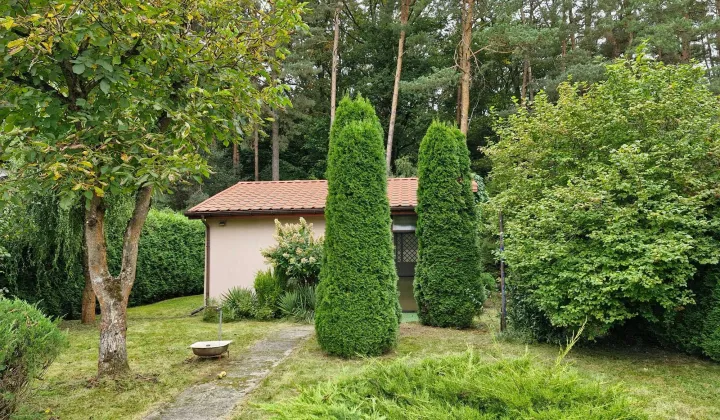 Działka rod Pawlikowice