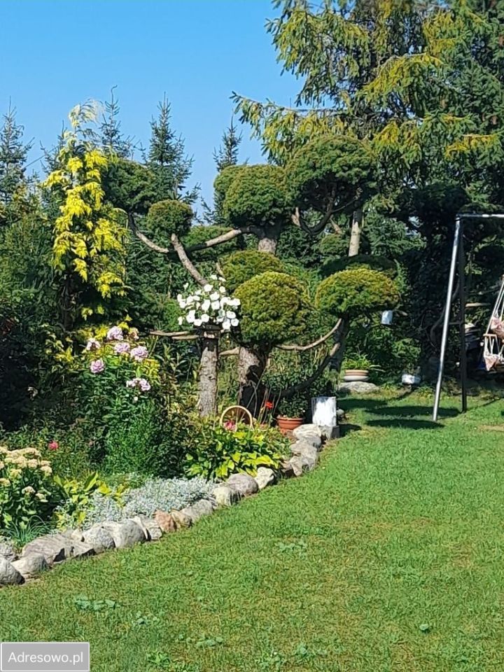 dom wolnostojący, 5 pokoi Nowe Polaszki. Zdjęcie 7