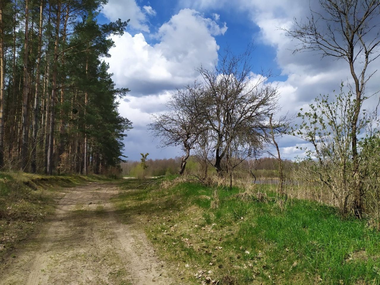 Działka budowlana Jałowiec, ul. Łąki. Zdjęcie 21