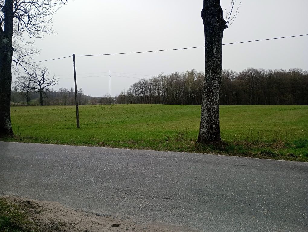 Działka rolno-budowlana Duba. Zdjęcie 4