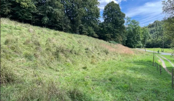 Działka siedliskowa Leszna Górna