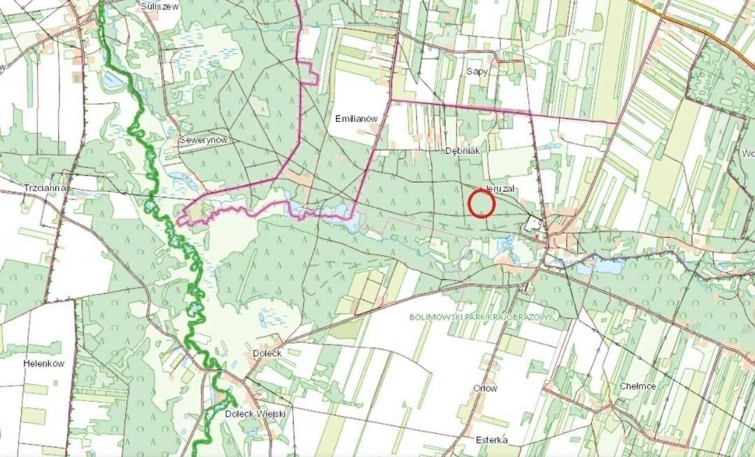 Działka leśna Jeruzal. Zdjęcie 3