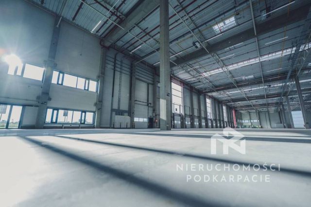 Hala/magazyn Rzeszów, ul. Technologiczna. Zdjęcie 6