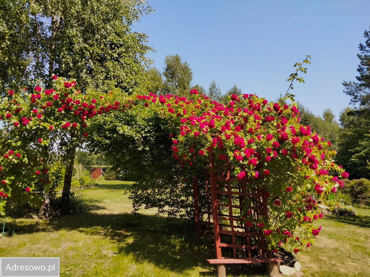 Działka Wólka Husińska. Zdjęcie 7