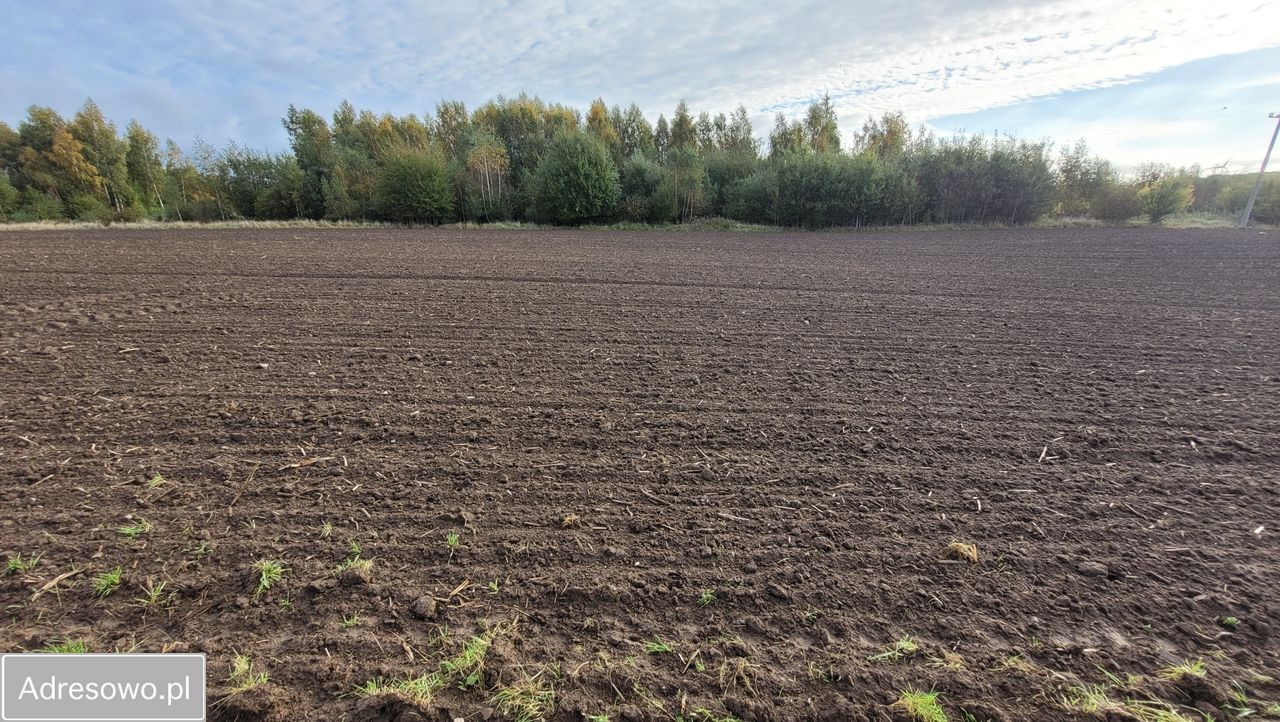 Działka budowlana Strzelinko. Zdjęcie 2