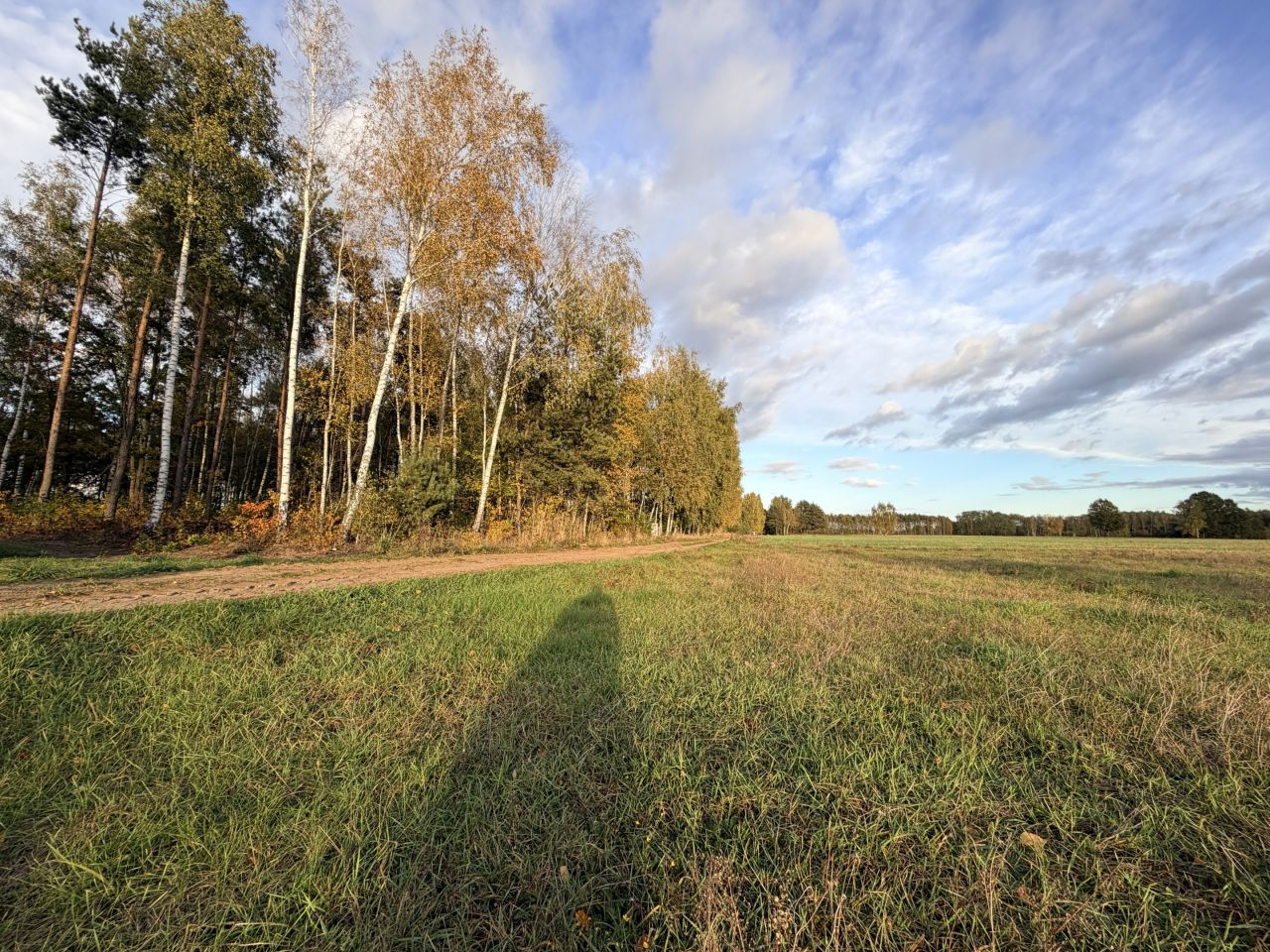 Działka budowlana Napiórki Butne. Zdjęcie 14