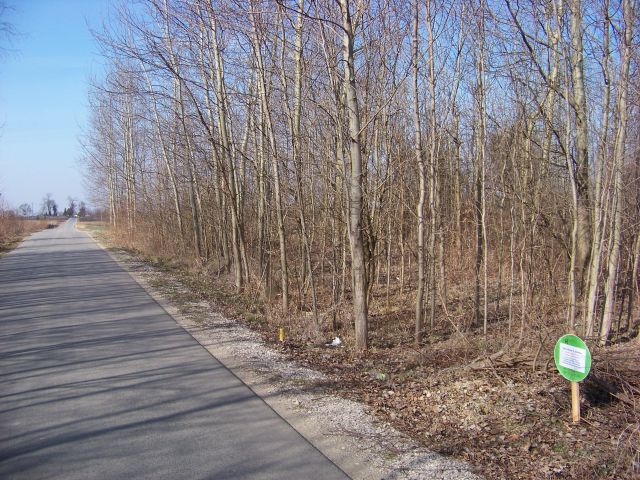 Działka rekreacyjna Żarnów, ul. Górnicza. Zdjęcie 1