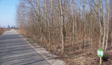 Działka rekreacyjna Żarnów, ul. Górnicza