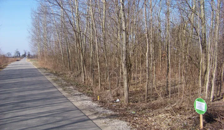 Działka rekreacyjna Żarnów, ul. Górnicza