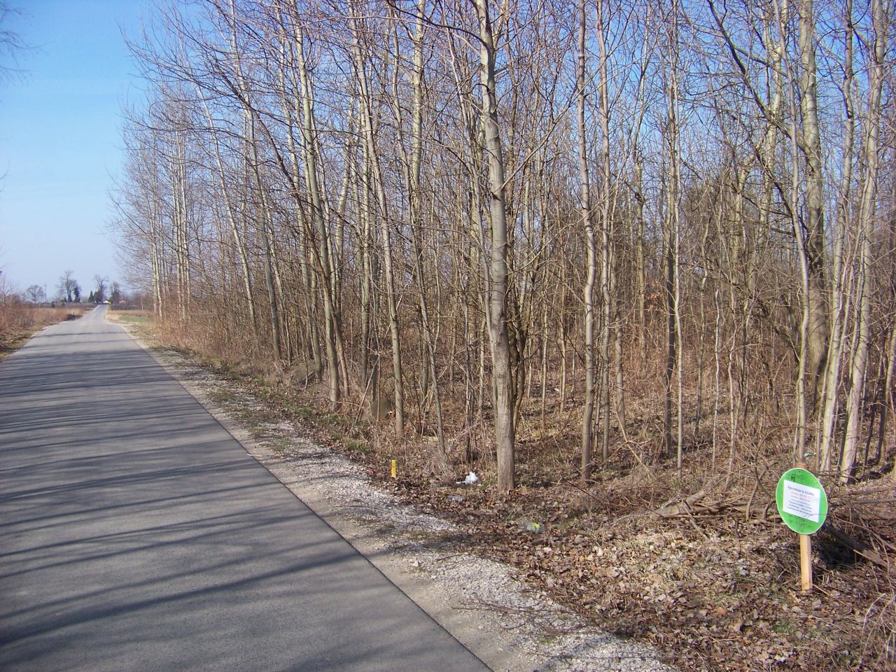 Działka rekreacyjna Żarnów, ul. Górnicza