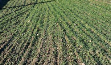 Działka inwestycyjna Tomiczki