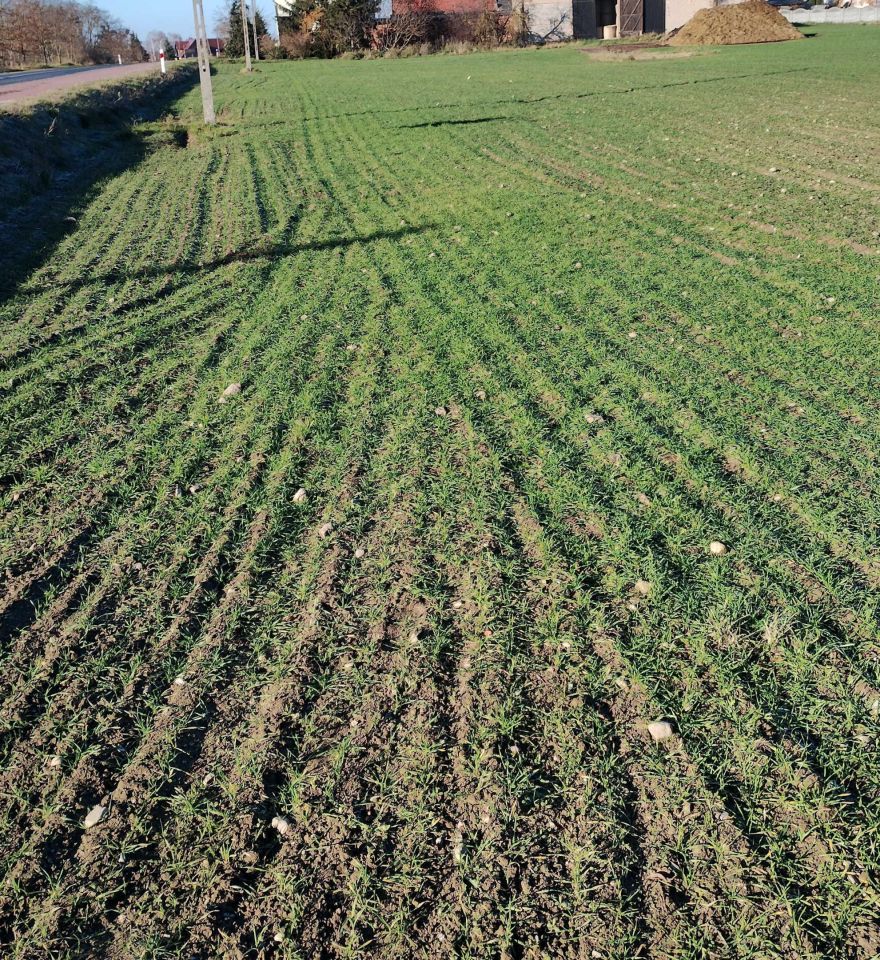 Działka inwestycyjna Tomiczki