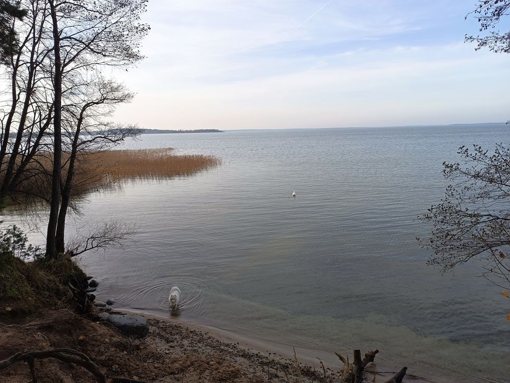 Działka rekreacyjna Kwik. Zdjęcie 5