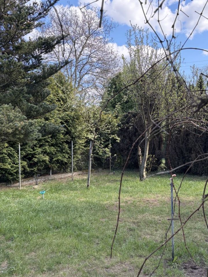 Działka rod Toruń, ul. Palmowa. Zdjęcie 7