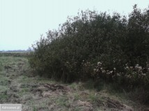 Działka rolna Jurów. Zdjęcie 2