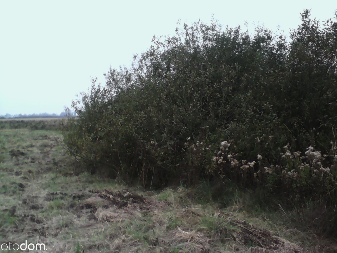 Działka rolna Jurów. Zdjęcie 3