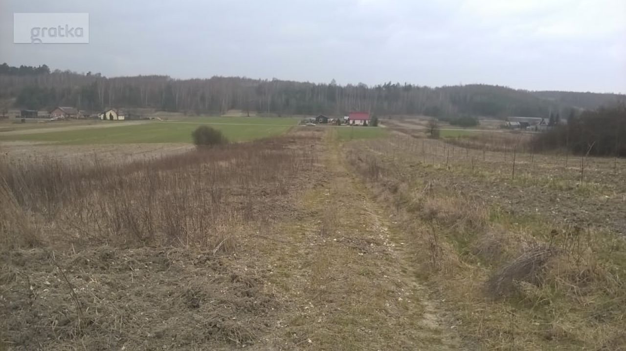 Działka rolno-budowlana Wymysłów. Zdjęcie 3