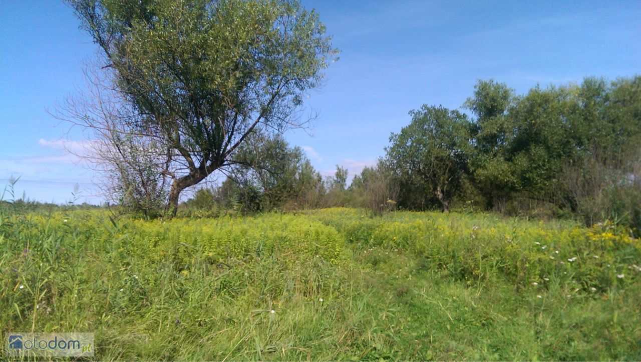 Działka rekreacyjna Kopanka Pierwsza. Zdjęcie 3