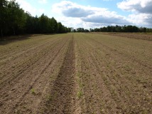 Działka rolna Drwały. Zdjęcie 1