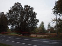 Działka rolna Jabłonna Druga. Zdjęcie 1