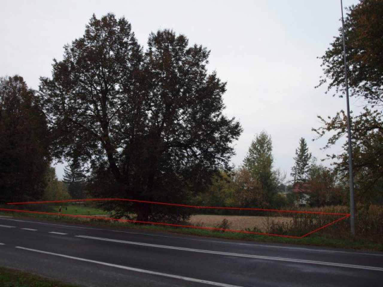 Działka rolna Jabłonna Druga. Zdjęcie 2