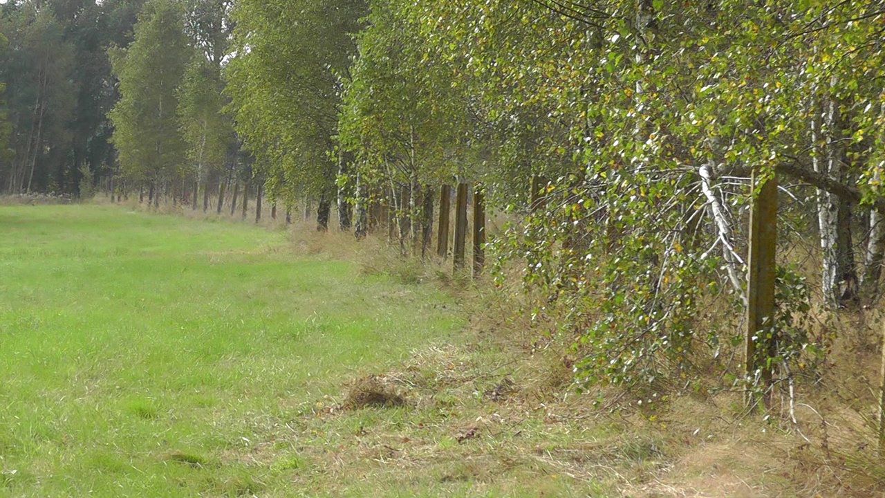 Działka inwestycyjna Zabłocie-Kolonia. Zdjęcie 5