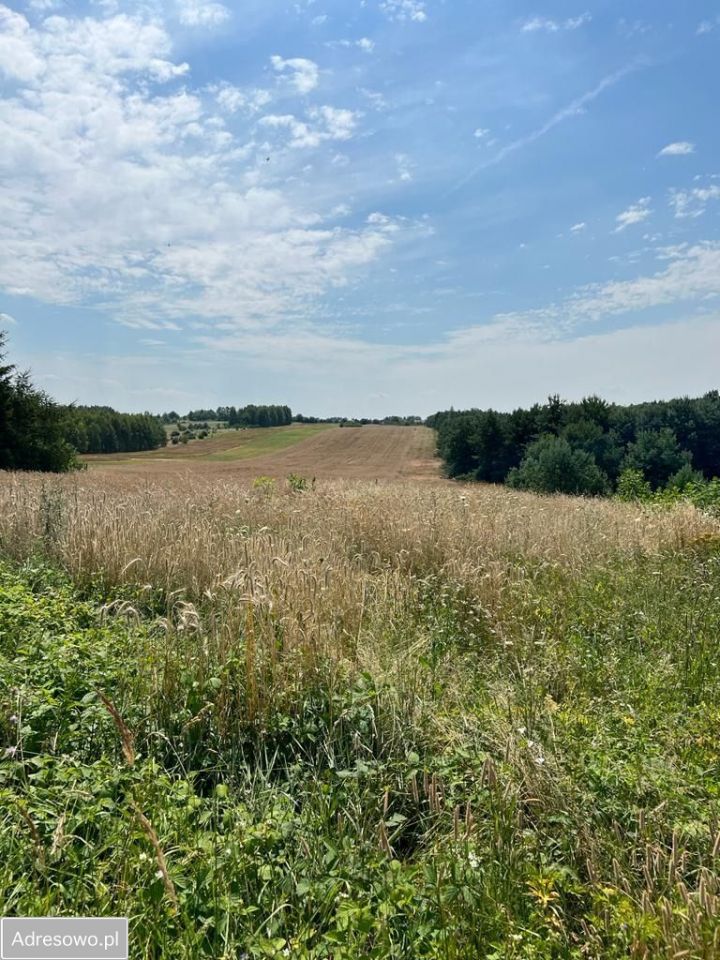 Działka rolno-budowlana Biskupice, ul. Chorońska. Zdjęcie 6