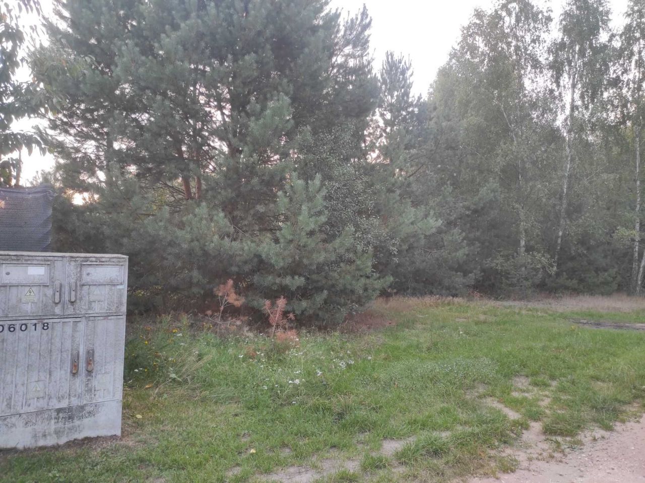 Działka budowlana Stary Adamów, ul. Promyka. Zdjęcie 3