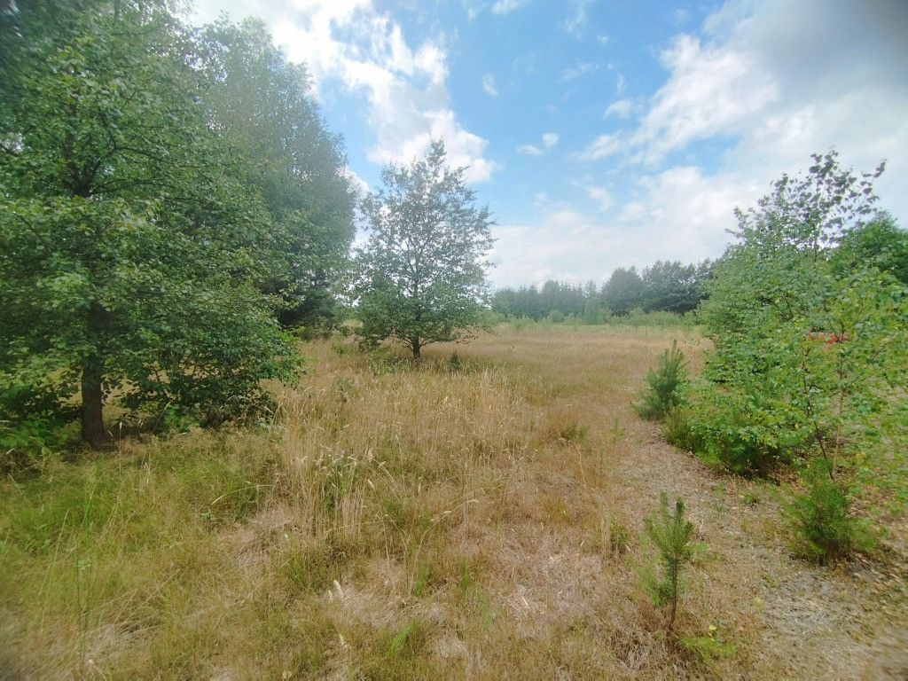 Działka budowlana Tomczyn. Zdjęcie 8