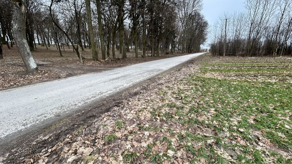 Działka rolno-budowlana Daniszów. Zdjęcie 5