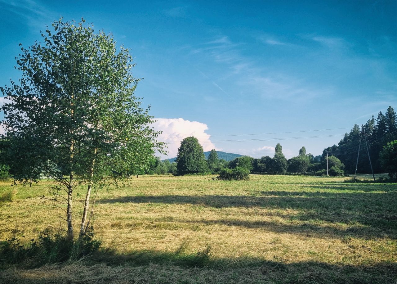 Działka budowlana Jeleśnia, ul. Sosnowa. Zdjęcie 5