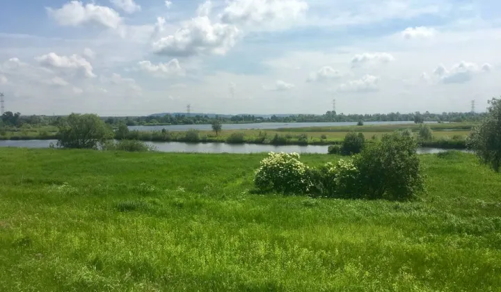 Działka rekreacyjna Jankowice