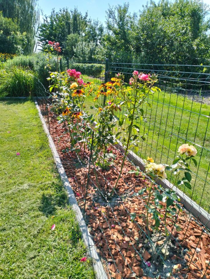 Działka rod Lublin. Zdjęcie 6