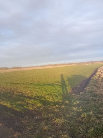 Działka rolna Koniewo, Koniewo. Zdjęcie 1