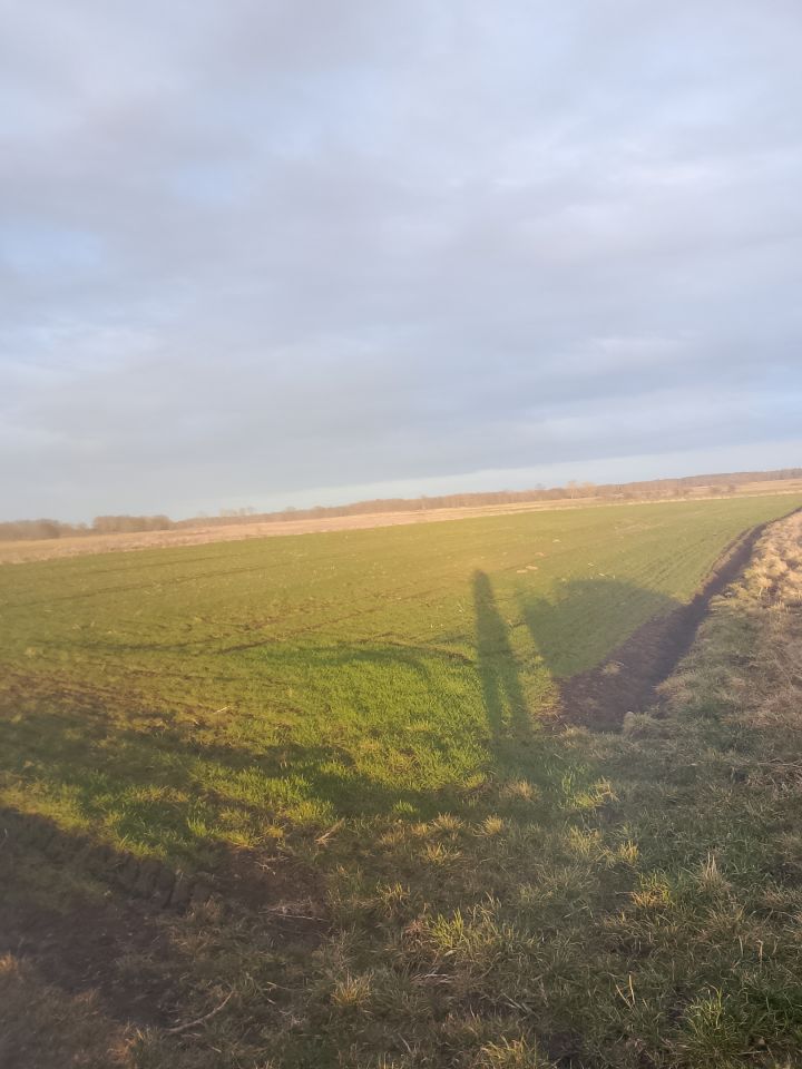 Działka rolna Koniewo, Koniewo. Zdjęcie 1