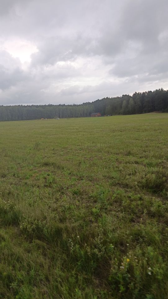 Działka budowlana Sąsieczno Miszek, ul. Adama Mickiewicza. Zdjęcie 4