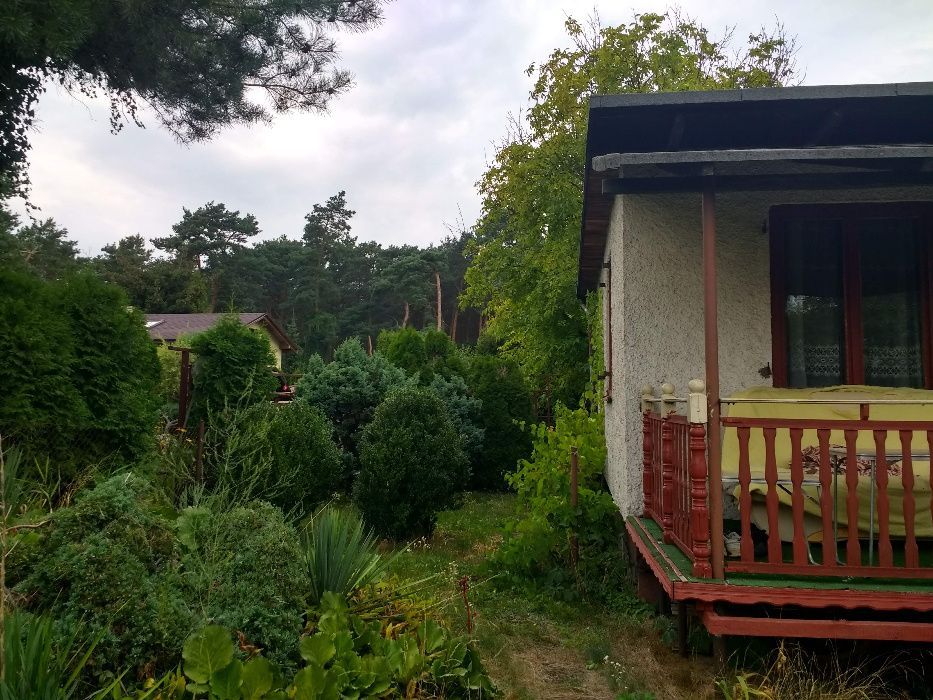 Działka rekreacyjna Toruń Kaszczorek, ul. Międzyrzecze