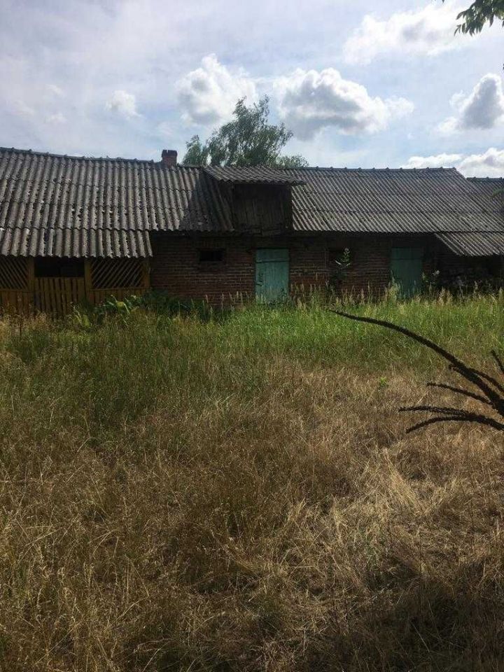 gospodarstwo Mniszek. Zdjęcie 3