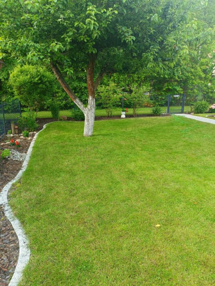 dom letniskowy Jagodowo osada leśna. Zdjęcie 2