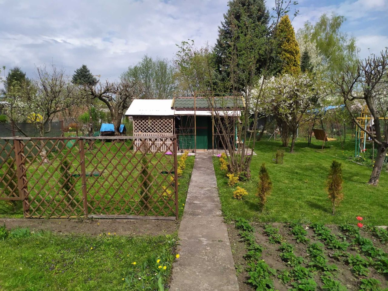 Działka rod Tarnobrzeg, ul. św. Barbary