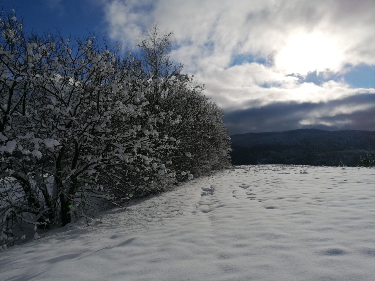 Działka rekreacyjna Rybotycze. Zdjęcie 14