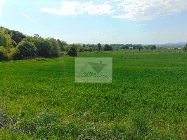 Działka rolno-budowlana Kiełczyn. Zdjęcie 2