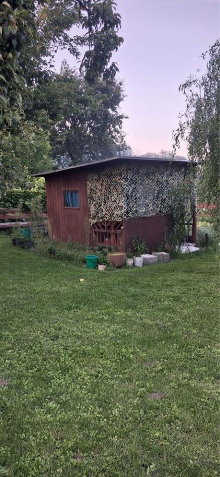 Działka rod Brodnica, ul. Sienkiewicza. Zdjęcie 4