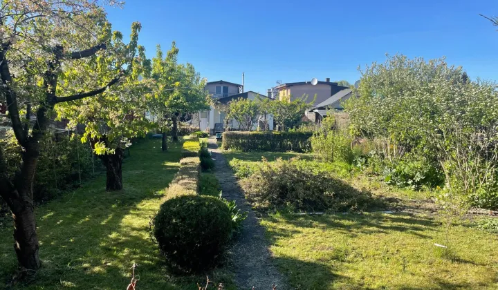 Działka rod Szczecin Dąbie, ul. Henryka Jordana