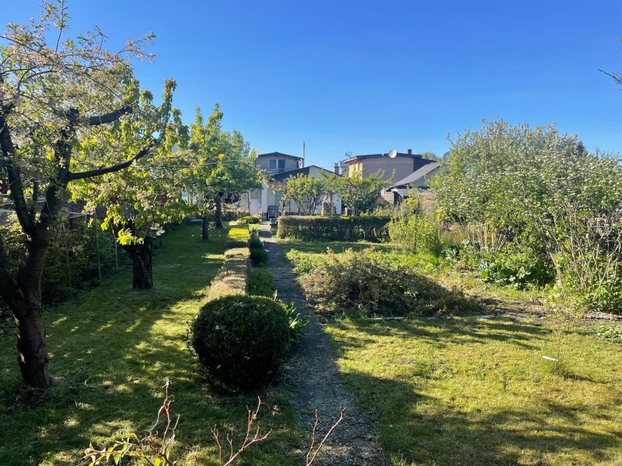 Działka rod Szczecin Dąbie, ul. Henryka Jordana. Zdjęcie 1